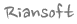 riansoft footer logo